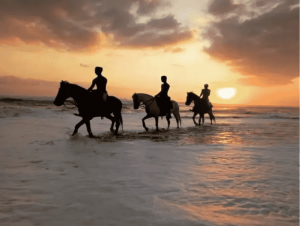 وتلند سرزمین دامپزشکی ایران 2 فواید اسب سواری