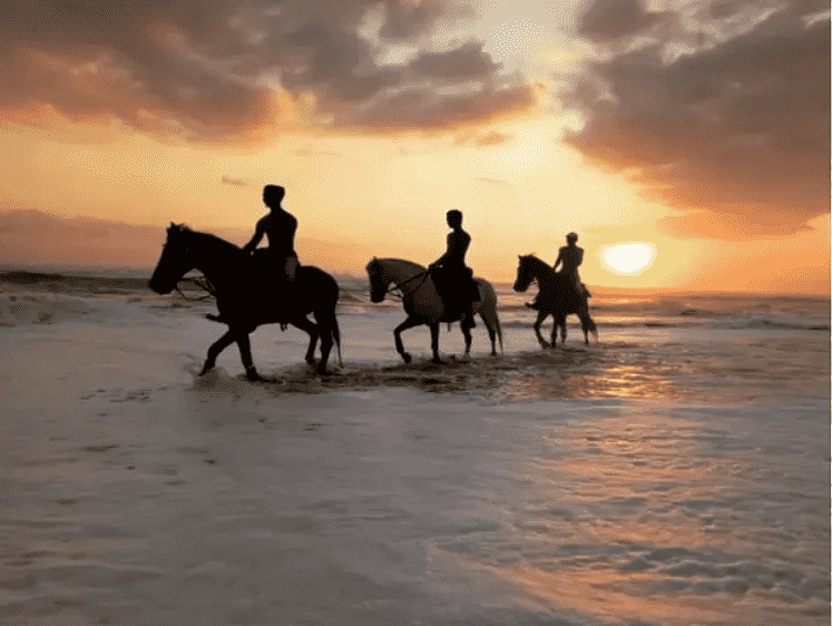 فواید اسب سواری