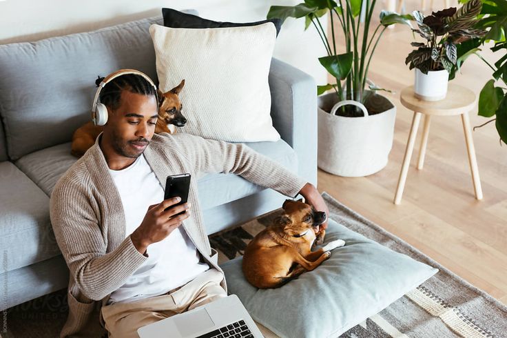 8 نشانه مهم از اعتماد سگ به صاحبش که باید بشناسید 3 نشانه مهم از اعتماد سگ به صاحبش که باید بشناسید