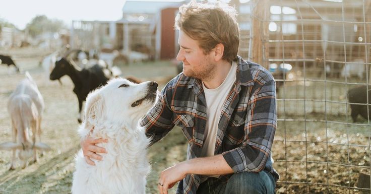 8 نشانه مهم از اعتماد سگ به صاحبش که باید بشناسید 1 نشانه مهم از اعتماد سگ به صاحبش که باید بشناسید