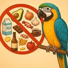 خوراکی‌ مفید و مضر برای طوطی‌ سانان
