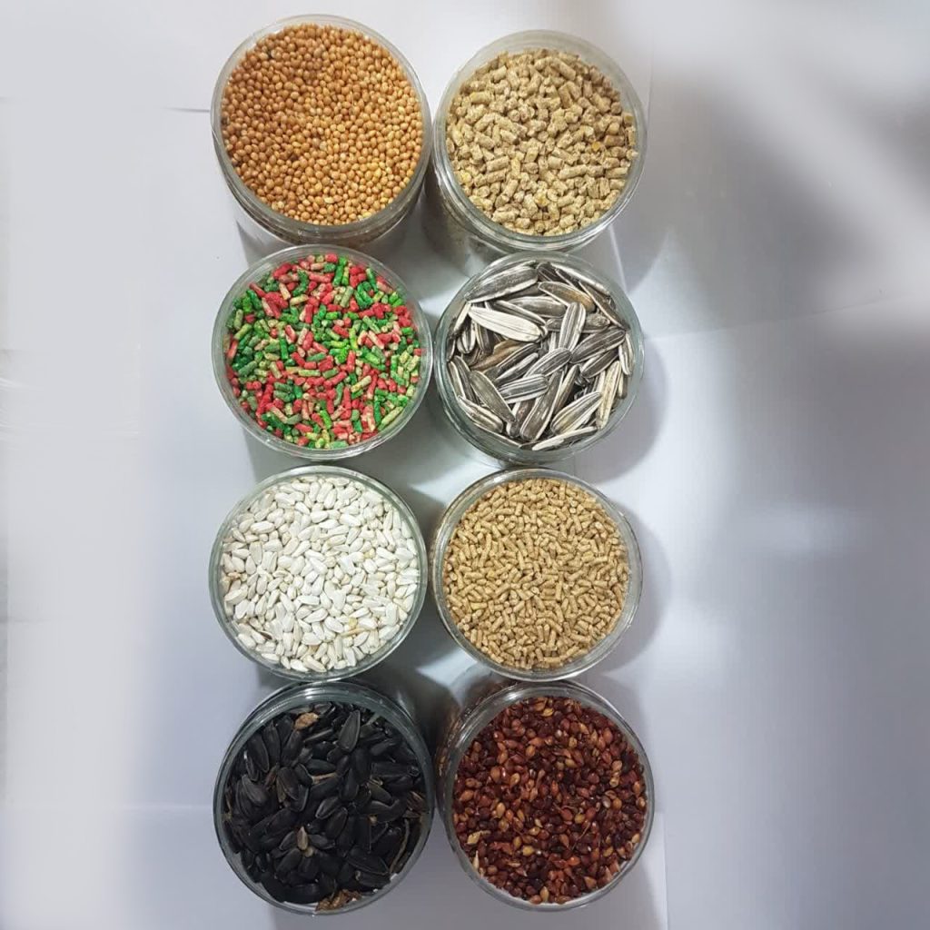 خوراکی‌ مفید و مضر برای طوطی‌ سانان