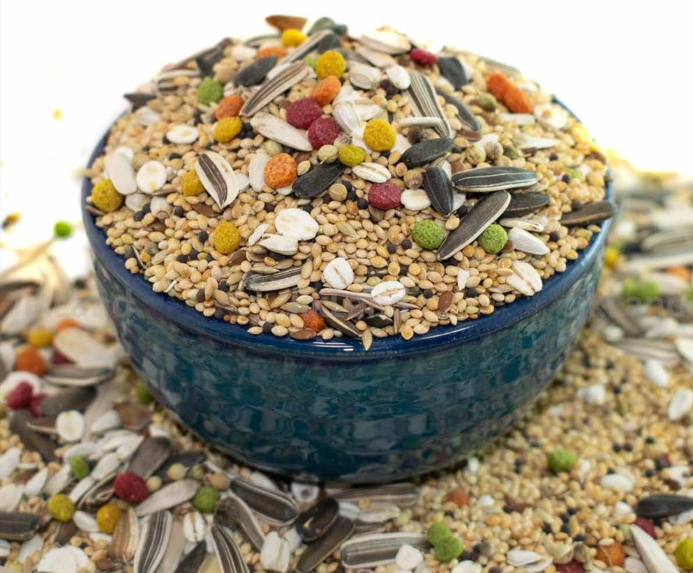 خوراکی‌ مفید و مضر برای طوطی‌ سانان