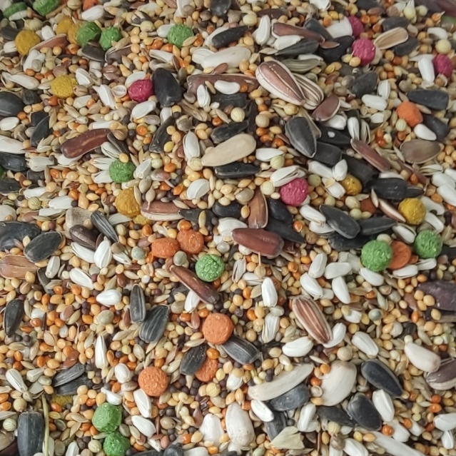 خوراکی‌ مفید و مضر برای طوطی‌ سانان